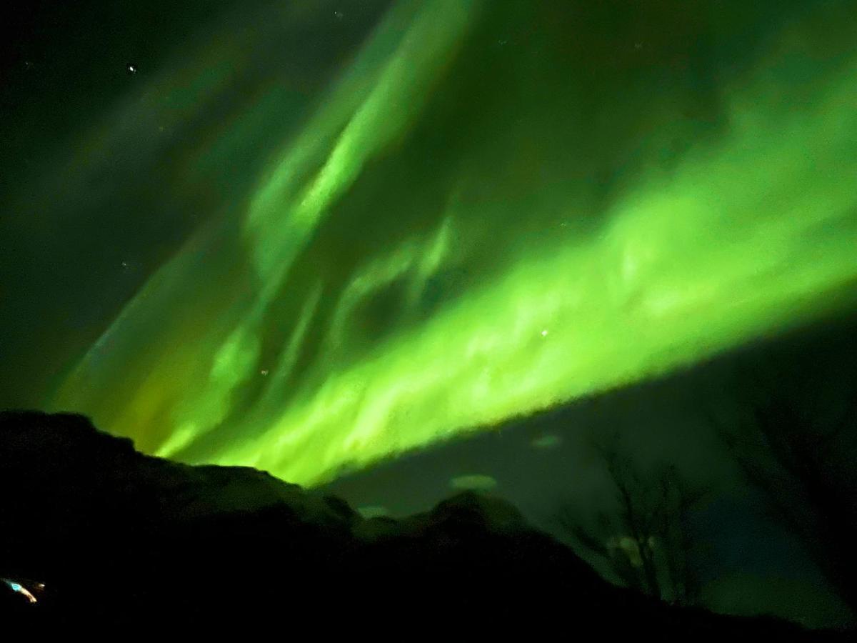 Lofoten Glampingdome Myrland Exteriör bild