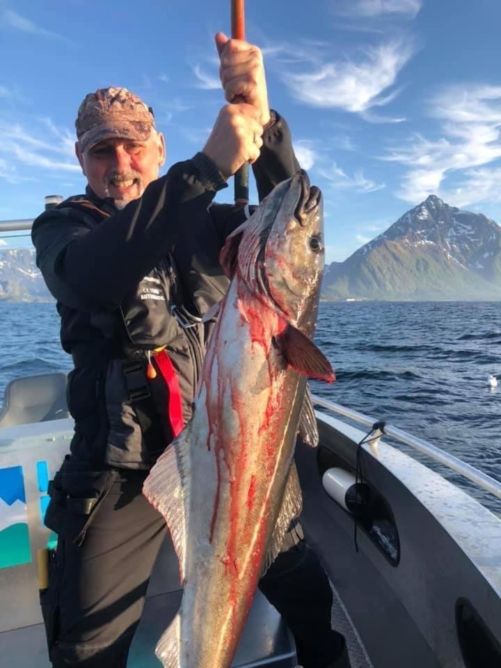 Lofoten Glampingdome Myrland Exteriör bild