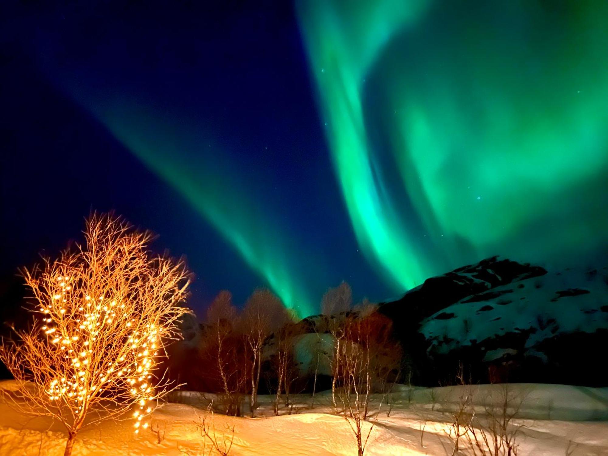 Lofoten Glampingdome Myrland Exteriör bild