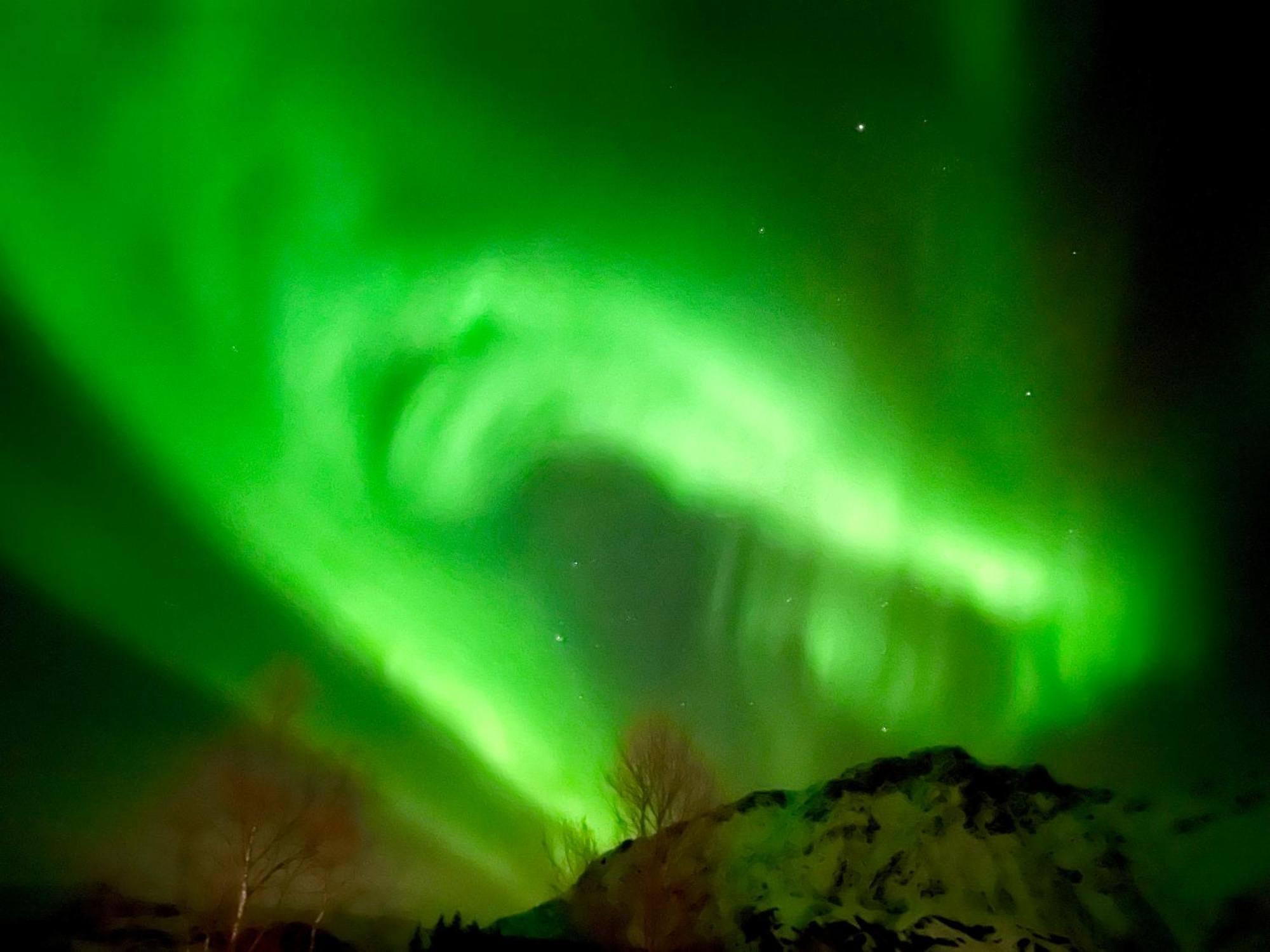 Lofoten Glampingdome Myrland Exteriör bild