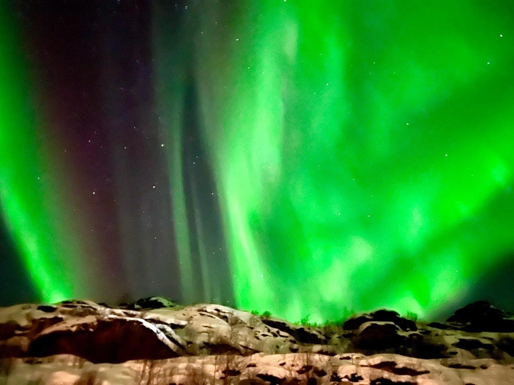 Lofoten Glampingdome Myrland Exteriör bild