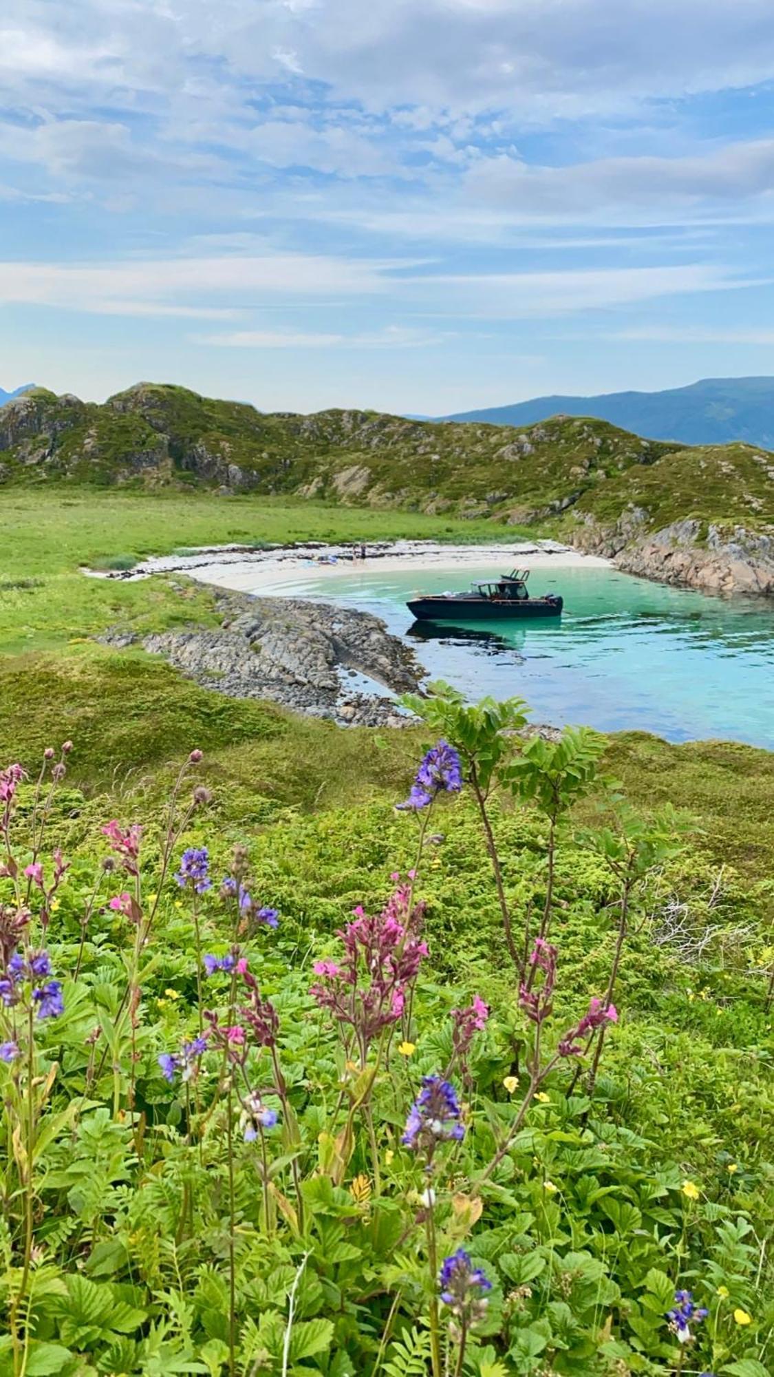Lofoten Glampingdome Myrland Exteriör bild